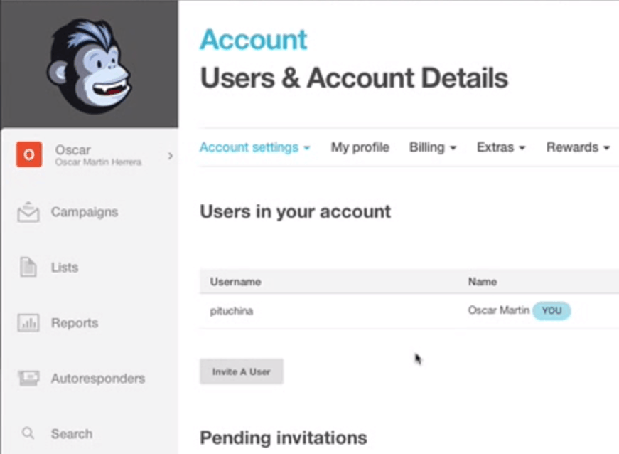Mailchimp Account Settings Users