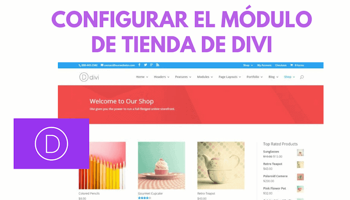 DIVI: Configure WooCommerce 1 Shop Module