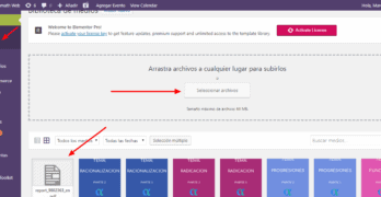 seleccionar pdf no indexar