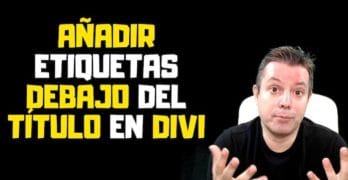 add etiquetas debajo titulo divi