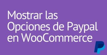 Mostrar las Opciones de Paypal en WooCommerce