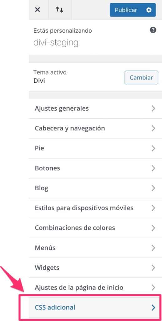 captura de pantalla del menu de personalizar de WordPress