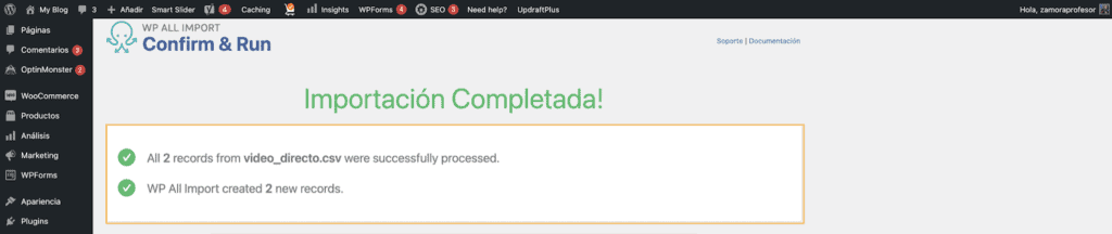 Captura de pantalla de la pantalla de importación completada de wp all import